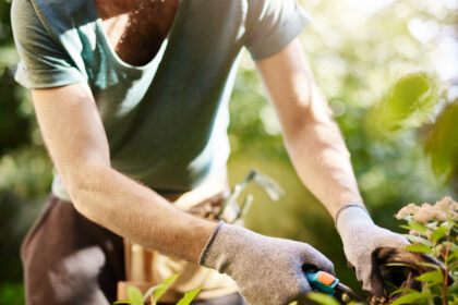 Services à domicile en 2026 : comment alléger son quotidien au quotidien ?